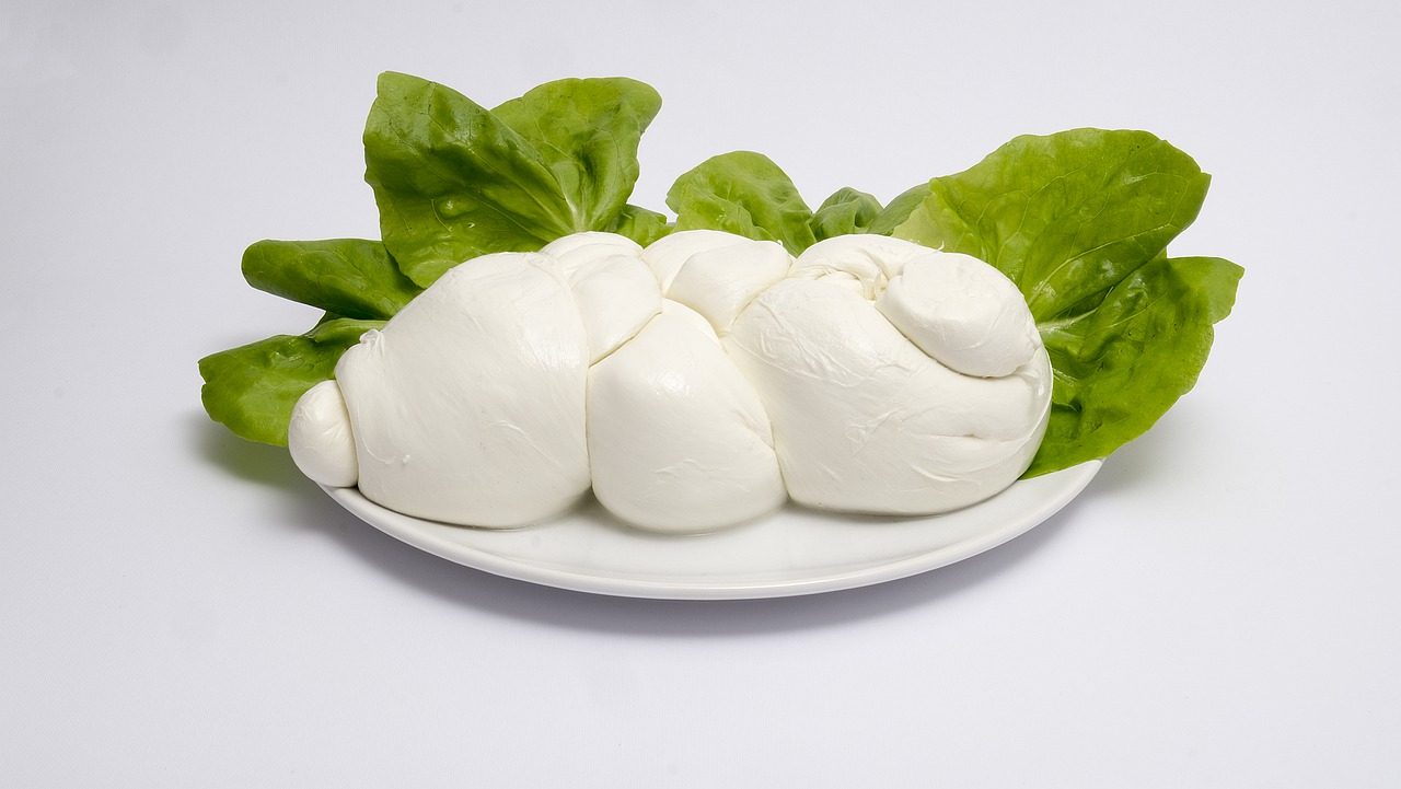 Ecco Come Dovresti Conservare La Mozzarella Di Bufala