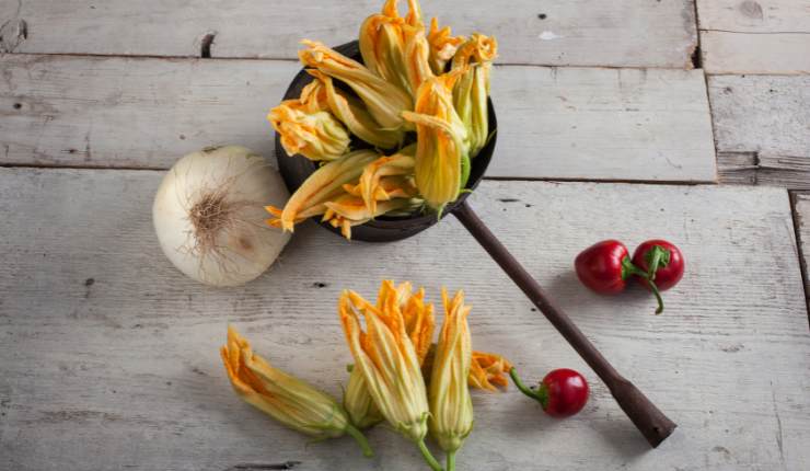 fiori di zucca al forno 