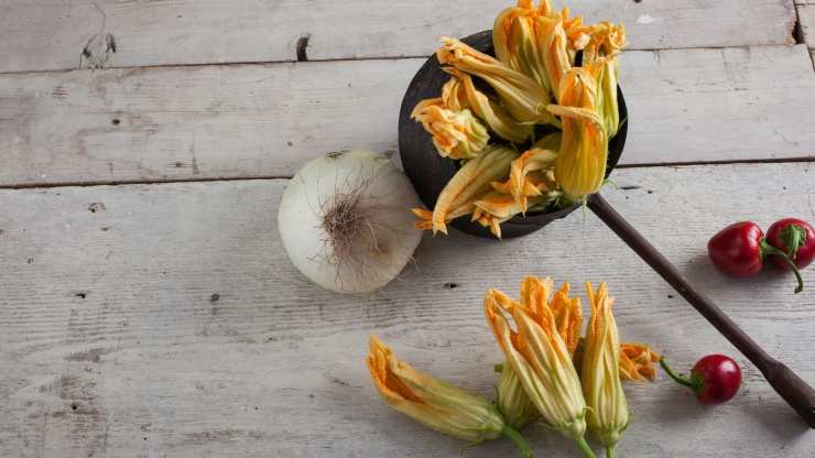 fiori di zucca ricette