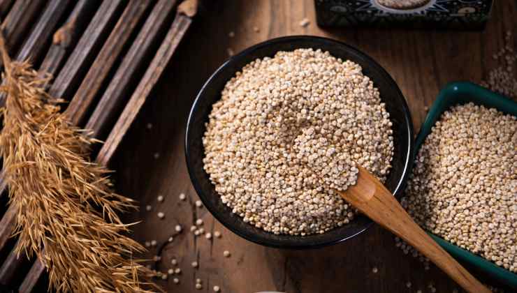 pasta e lenticchie e quinoa