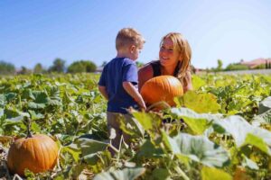 zucca come sceglierla