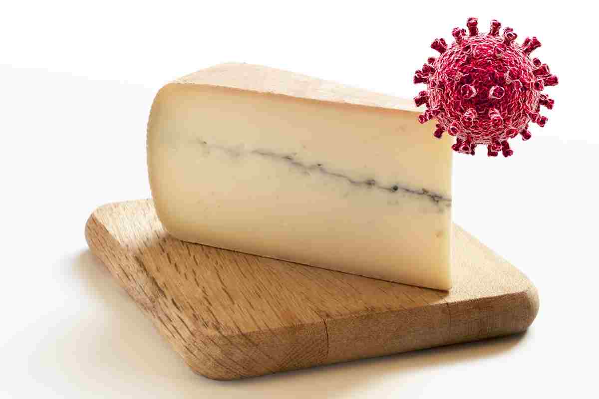 escherichia coli formaggio francese 