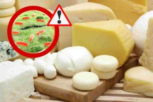 A rischio un noto formaggio francese ampiamente consumato nel nostro Paese. E' stato richiamato per E. Coli: se l'hai acquistato, non dargli nemmeno un morso. 